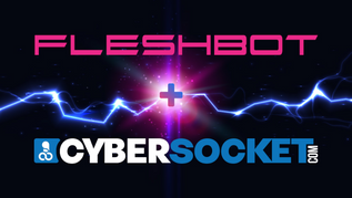 Cybersocket Merges With Fleshbot Gay