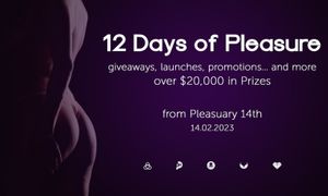 The Pleasure Network to Launch '12 Days of Pleasure' Promotion