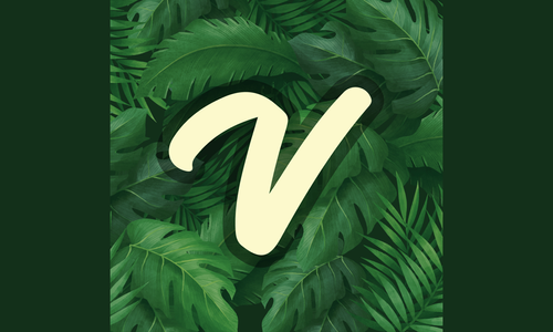 Vicetemple Releases ModelX Theme for Adult Performers