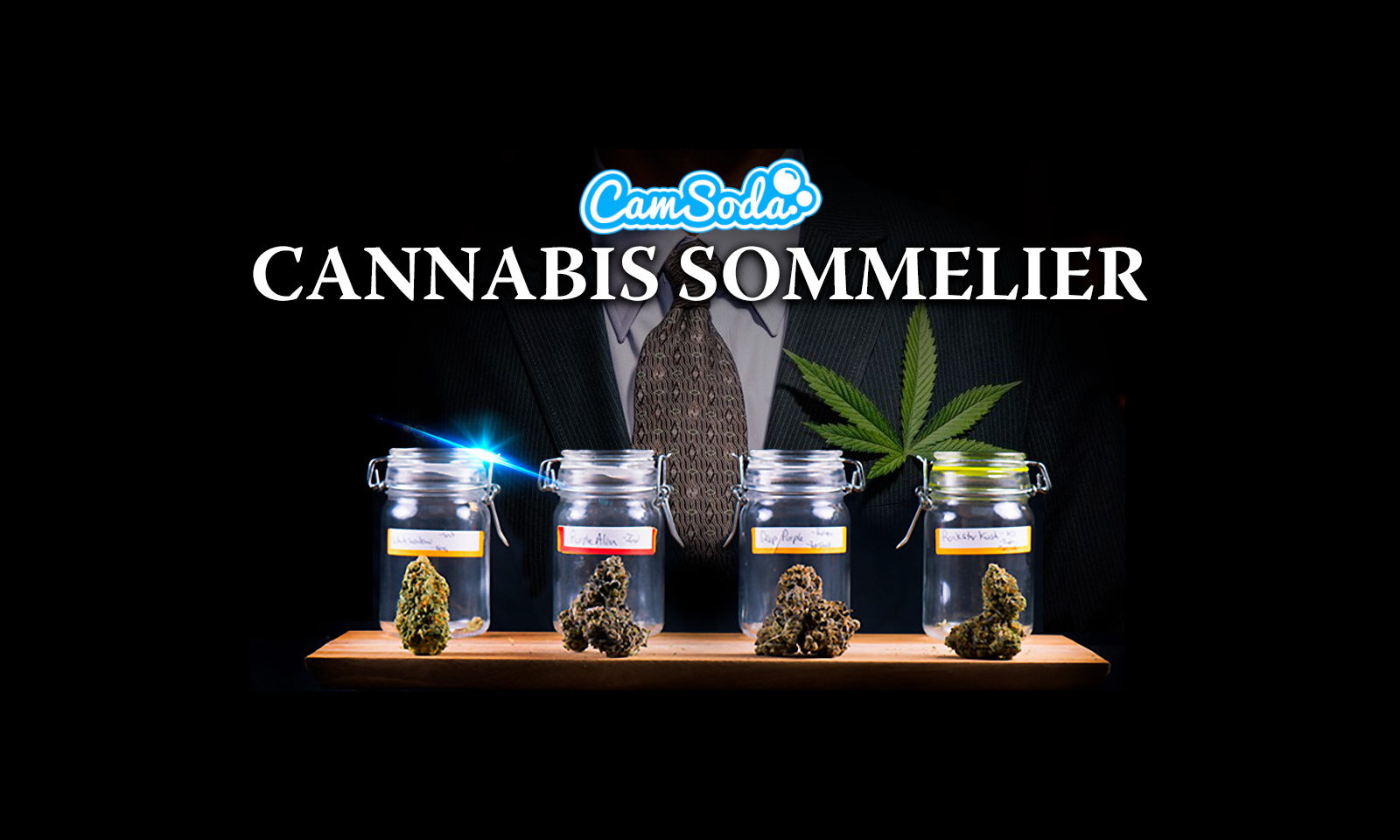 CamSoda Launches Nationwide Search for Cannabis Sommelier