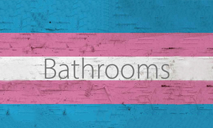 Holistic Wisdom Releases Trans Bathroom Guide