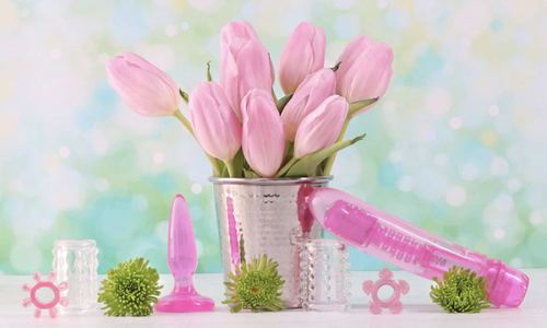 Holistic Wisdom Releases Elastomer Sex Toys Guide