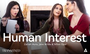 Transfixed Debuts New Scene 'Human Interest'