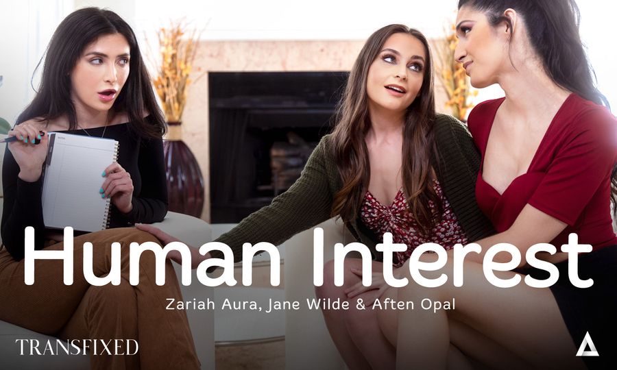 Transfixed Debuts New Scene 'Human Interest'