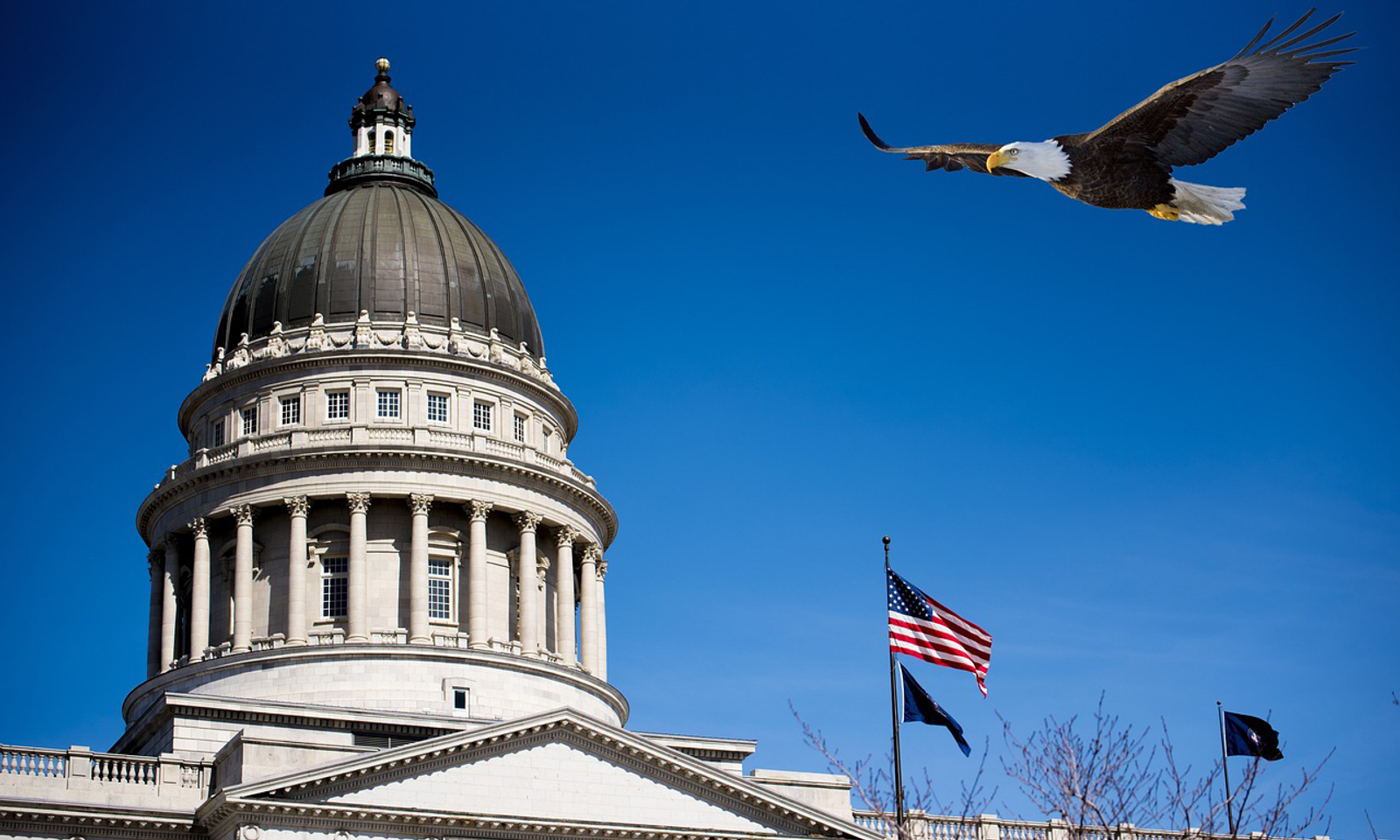 Utah Asks Federal Judge to Dismiss FSC Lawsuit