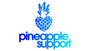 Pineapple Support Launches In-House Training, Support Program