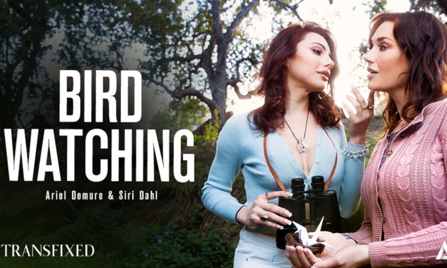 Transfixed Marks the Return of Siri Dahl in 'Bird Watching'