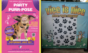11th Annual Vice Is Nice Fundraiser Set for Saturday Night