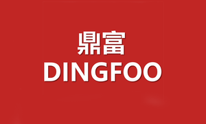 Dingfoo Introduces a New Patented Brush Vibrator