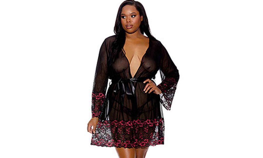 Lace Trim Sheer Robe