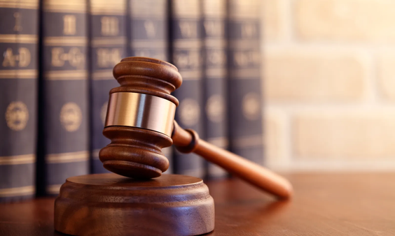 Federal Judge Partially Dismisses Louisiana Age Verification Lawsuit