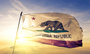 Newsom Enacts California’s ‘Mini FOSTA’ Bill