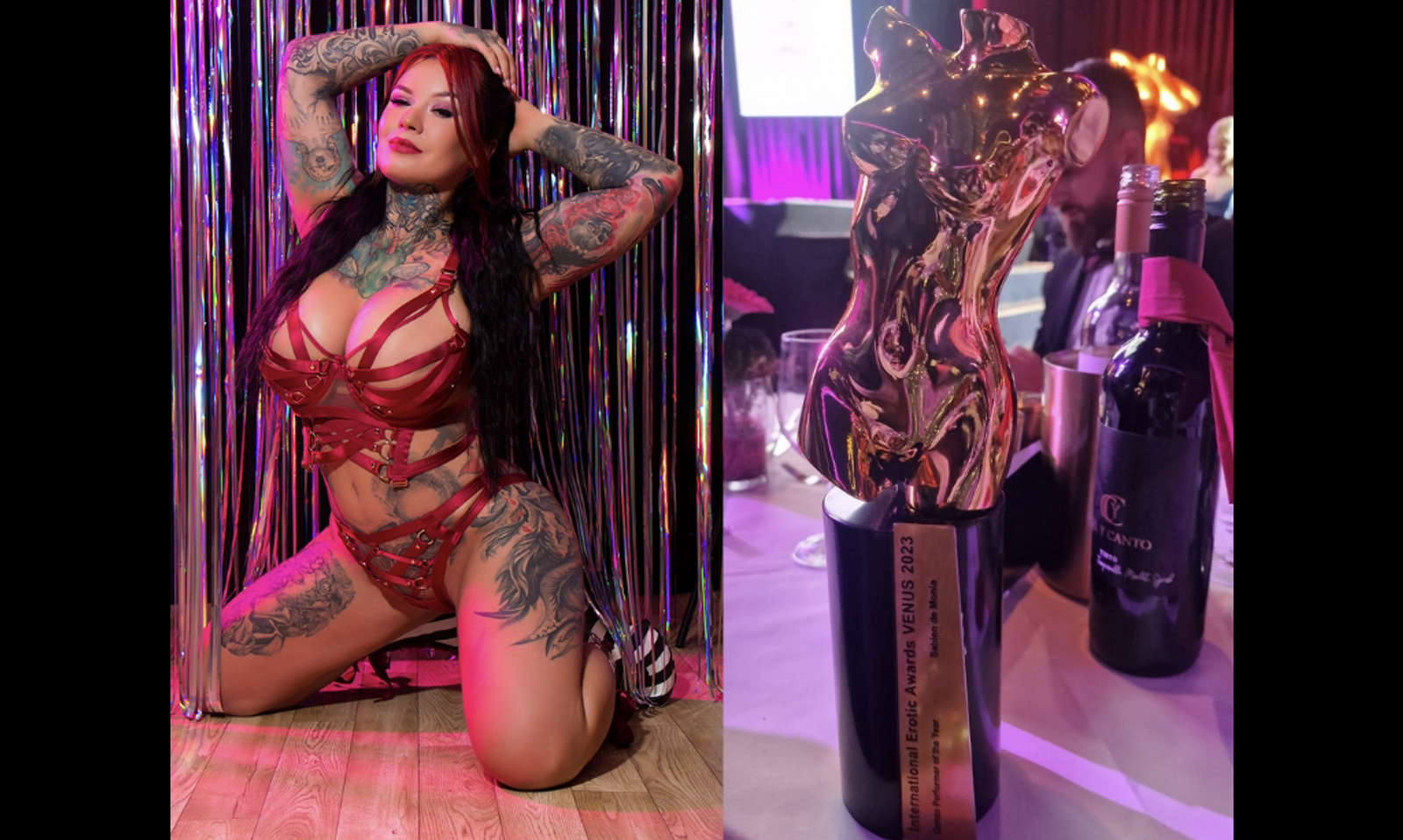 Sabien DeMonia Wins Gonzo Performer of the Year at Venus Awards