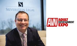 Industry Attorney Corey D. Silverstein to Attend AEE