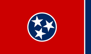 Tenn. Lawmaker Intros Age Verification Bill With Felony Charge