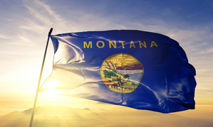 Montana Blocked by Pornhub Due to Age Verification Law