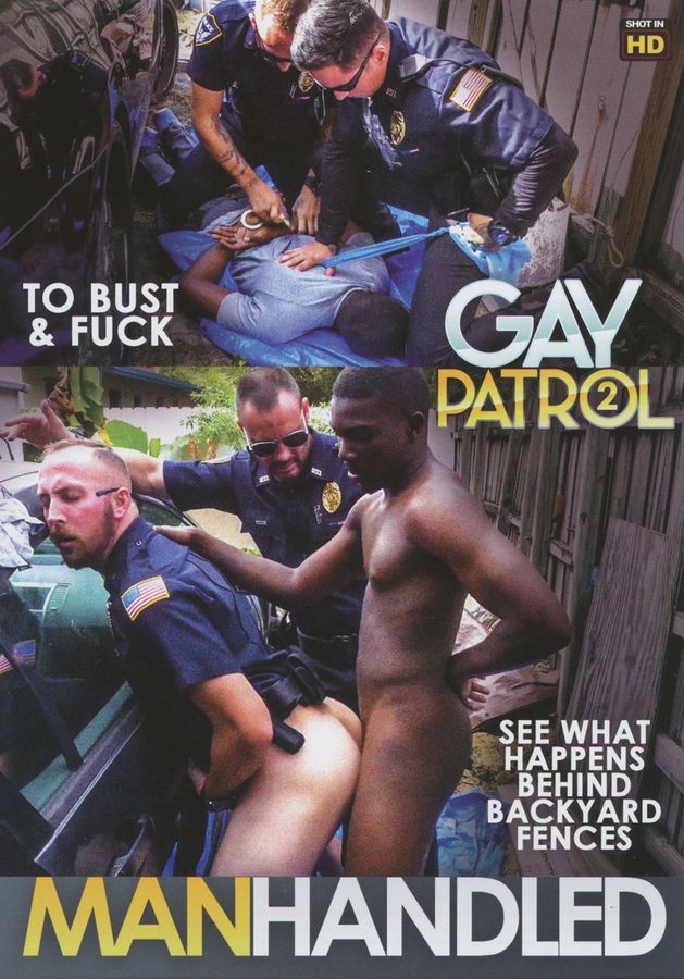 Gay Patrol 2