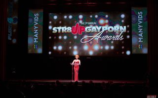 3rd Annual Str8UpGay Porn Awards (Gallery 2)