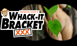 Mr. Skin’s ‘XXX Whack-It Bracket’ Tournament Down To 'Sweet 16'