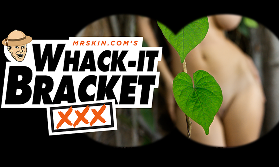 Mr. Skin’s ‘XXX Whack-It Bracket’ Tournament Down To 'Sweet 16'