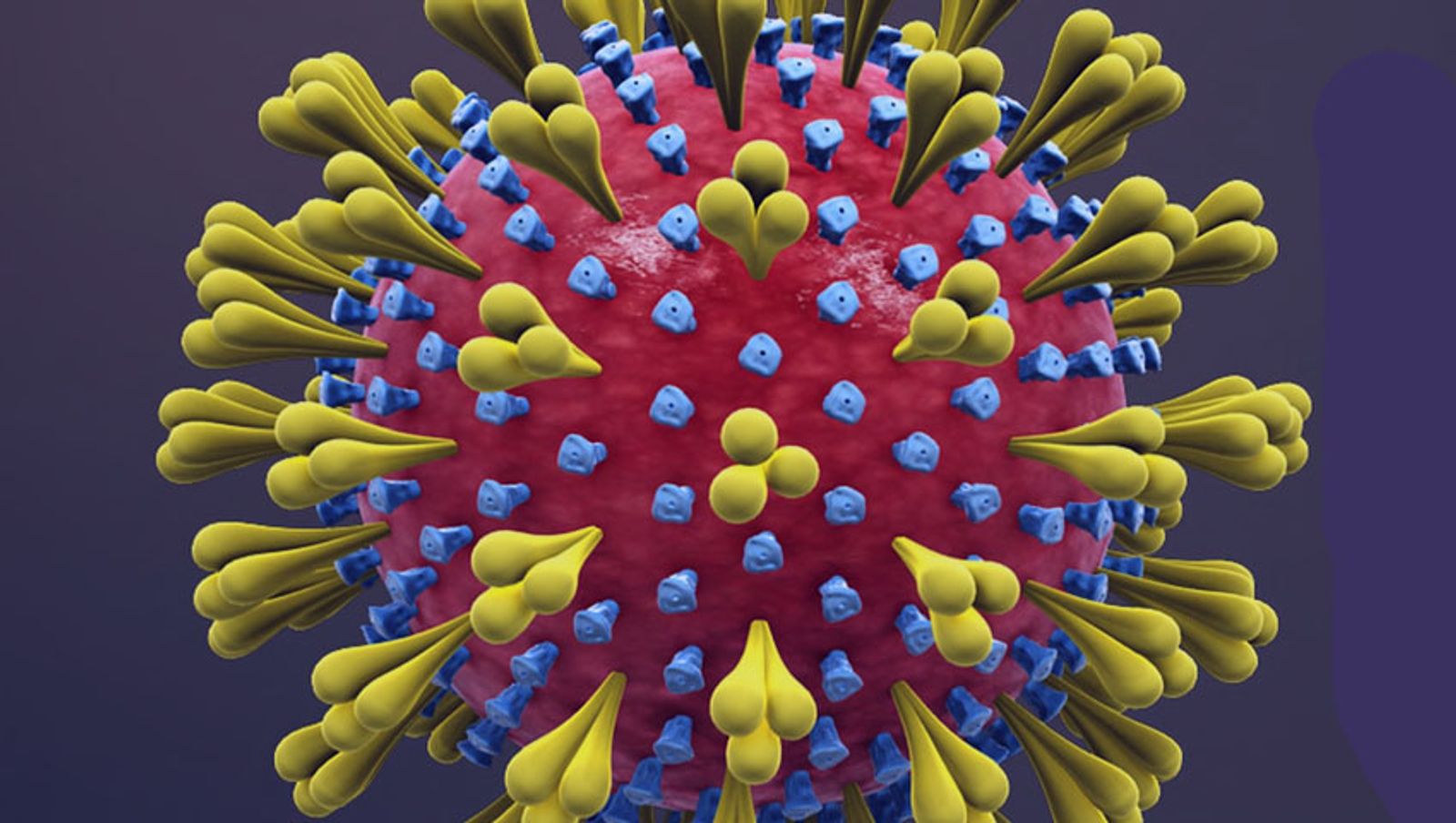 Coronavirus Found Lurking in Semen of COVID-19 Survivors