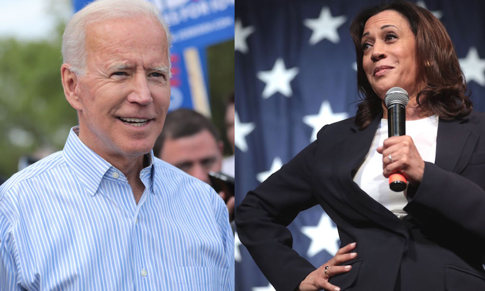 Section 230 & Online Rights: Here’s How Biden & Harris Stand