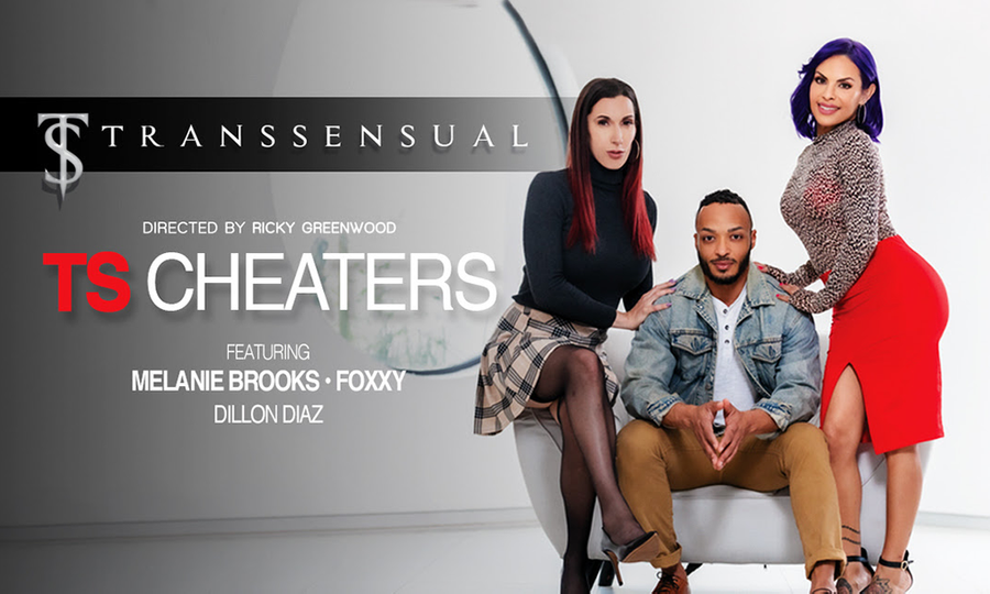 ‘TS Cheaters,’ TransSensual’s New Series, Released on DVD