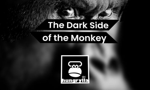 Benefit Monkey Launches New Website Hungrylla.com