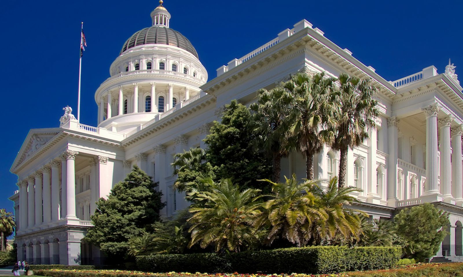 California Senate Committee OKs Exemptions to AB5 Gig Worker Law