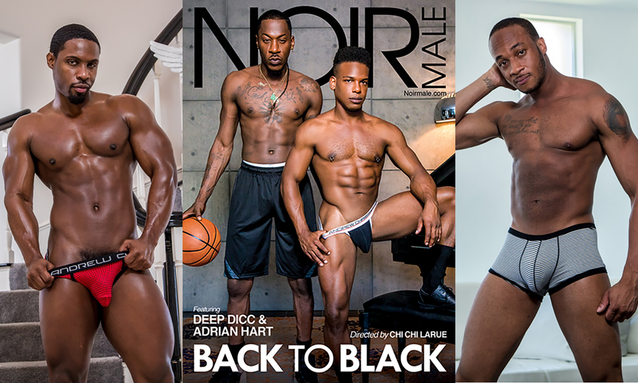 ‘Back To Black’ Is the Latest Series Debuting From Noir Male