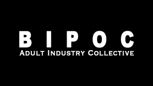 BIPOC-AIC Opens October Microgrants, Announces Wellness Partners