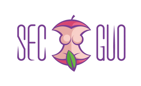 SecGuo Reflects on Virtual VIBE Experience