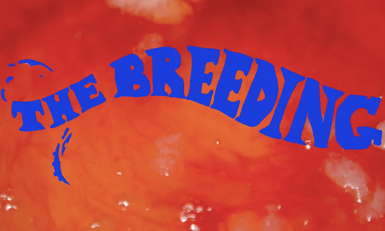 PinkLabel.TV to Screen Horror Porn 'The Breeding' on Halloween