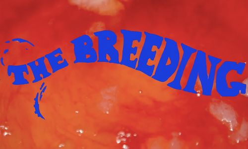 PinkLabel.TV to Screen Horror Porn 'The Breeding' on Halloween