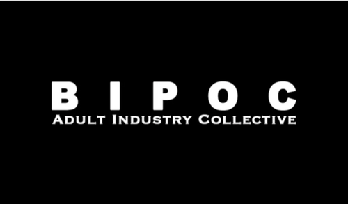BIPOC-AIC to Host Discussion on Reproductive Justice, Immigration