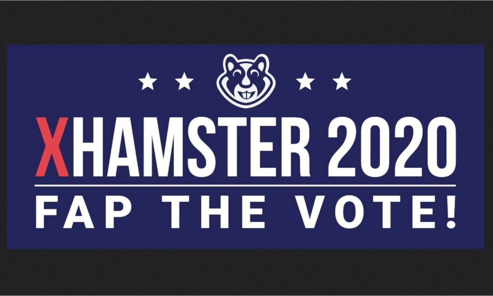 xHamster Releases Poll About Its Users' Politics and Porn Habits