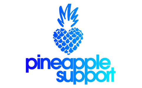 Pineapple Support to Host Anti-Bullying Webinar