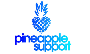 Pineapple Support Adds Newest Sponsor,  #LetsDoeIt