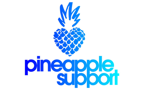 Pineapple Support Hosting Online Music Therapy Group Sunday