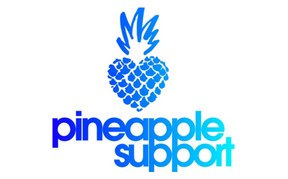 Pineapple Support Announce Online Mental Health Summit