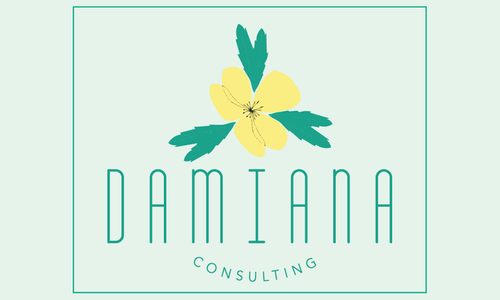 Damiana Consulting Will Produce Interactive WOW Tech Academy