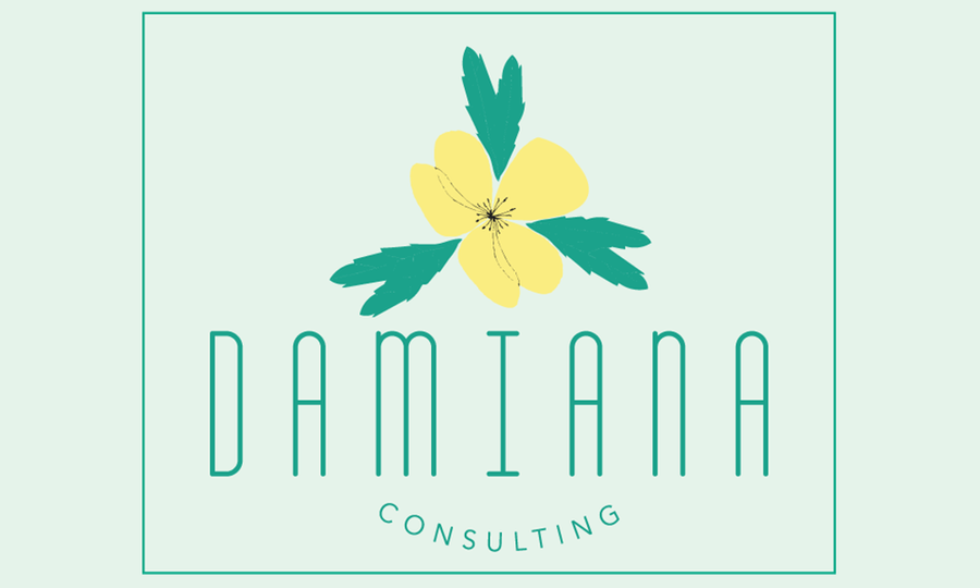 Damiana Consulting Will Produce Interactive WOW Tech Academy