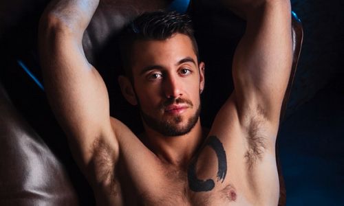 Dante Colle Earns the GayVN Award for Best Bi Sex Scene