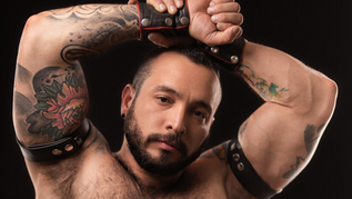 Daddies, Bears & Cubs Enjoy Surging Popularity in Gay Adult