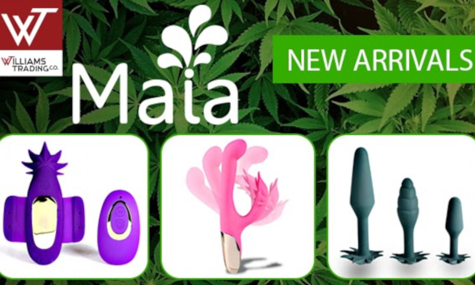 Williams Trading Co. Expands MAIA Toys Line with New Products