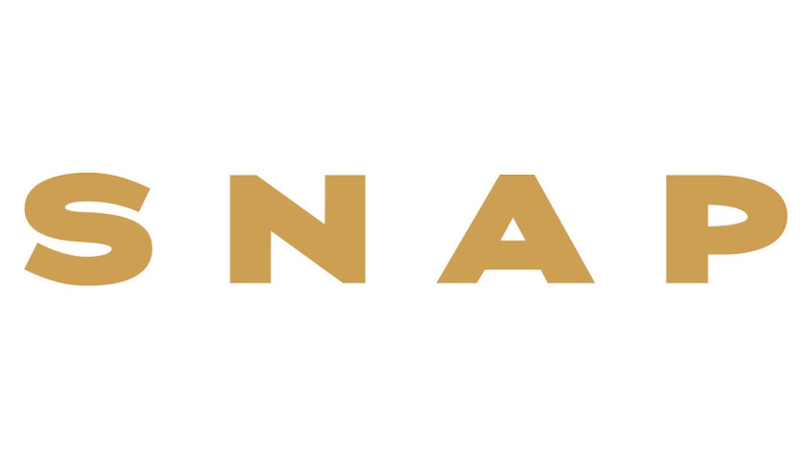 UKAP Rebrands as SNAP: Support Network for Adult Professionals