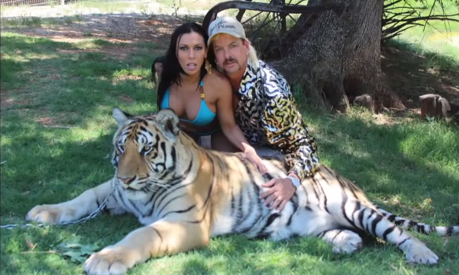 Tiger King NFT Auction Includes Rachel Starr Bikini