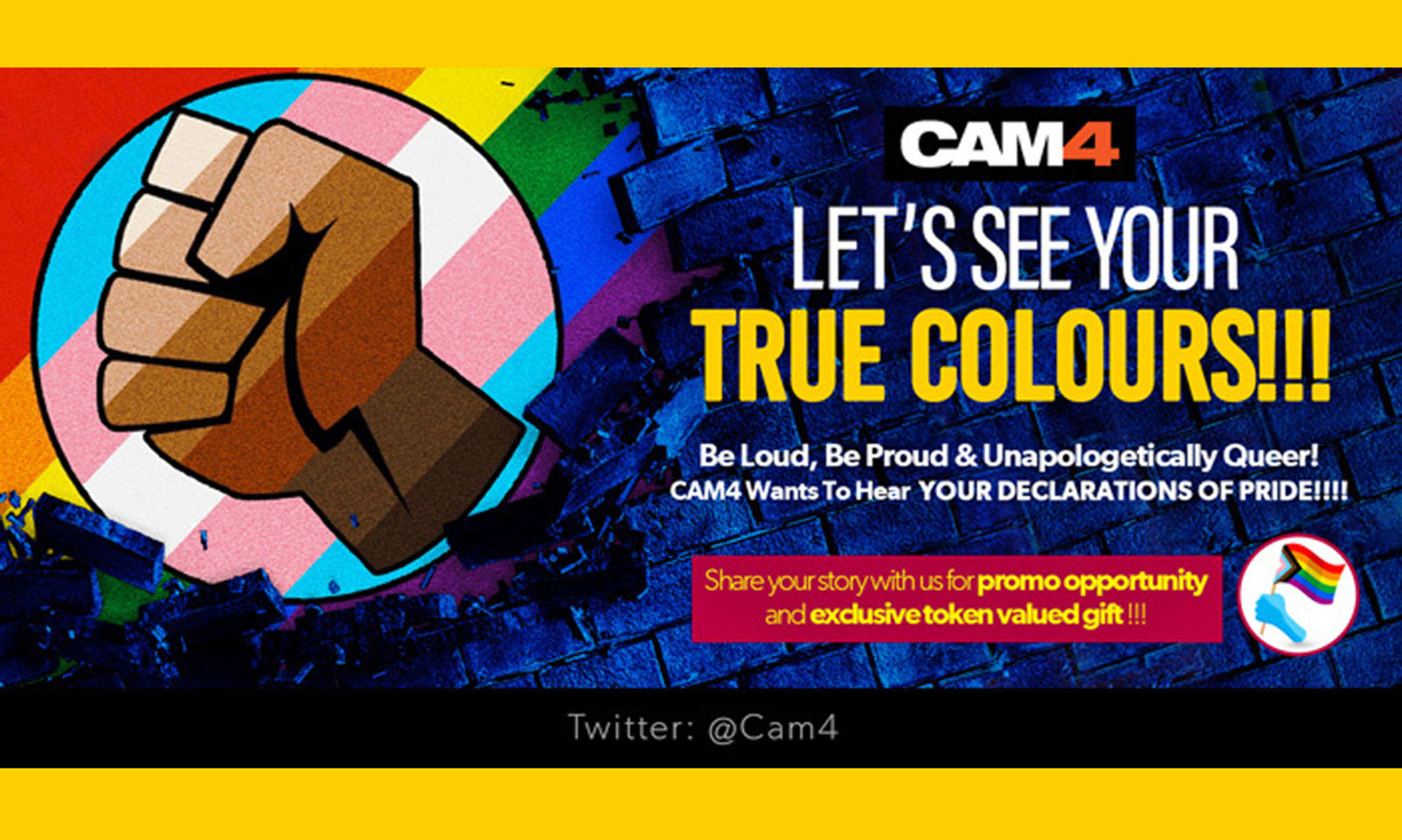 CAM4 Asks Users for 'Declarations of Pride'