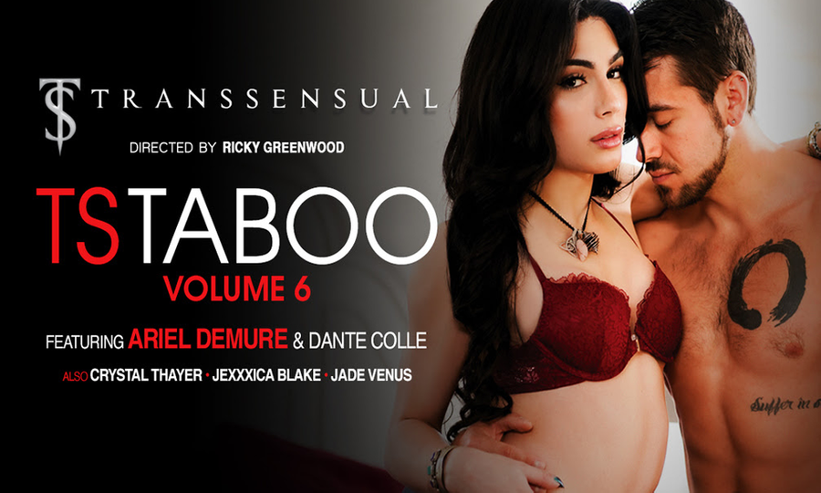 TransSensual Releases Chapter 6 of 'TS Taboo'