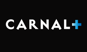 Carnal Media Plans to Up Charity Efforts After SafeXmas Success